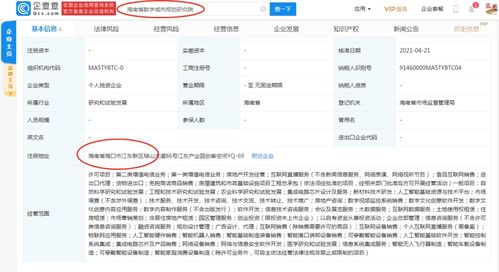 軟件外包服務 助力企業實現數字化轉型與成本優化